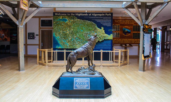  Wolf statue inside Algonquin Park Visitor Centre