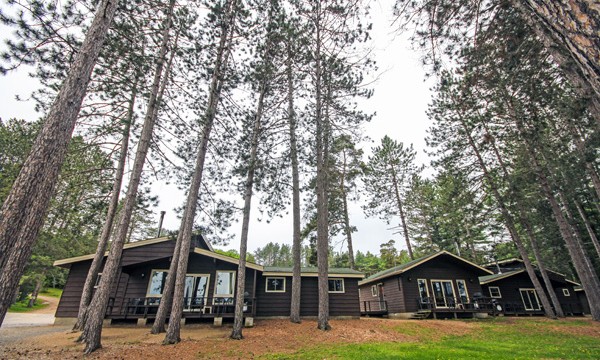 Brown cabins surrounded by spruce trees