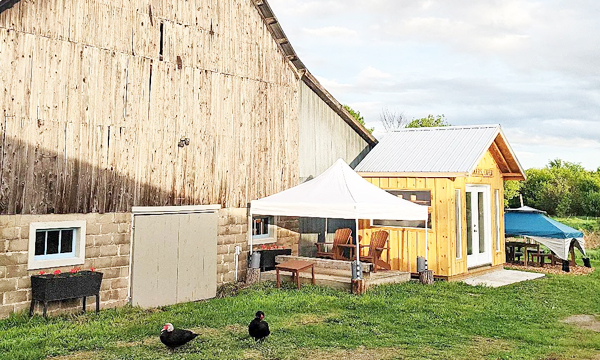 Exterior of farm and bottle shop with ducks