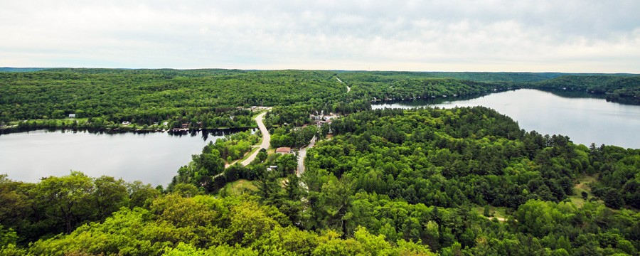 View from Dorset Lookout Tower