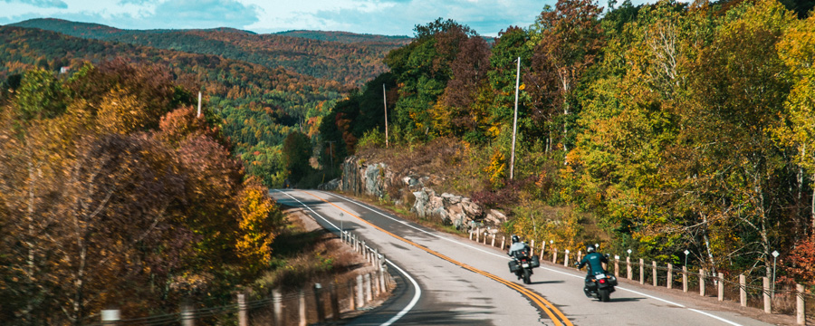 Fall Loop