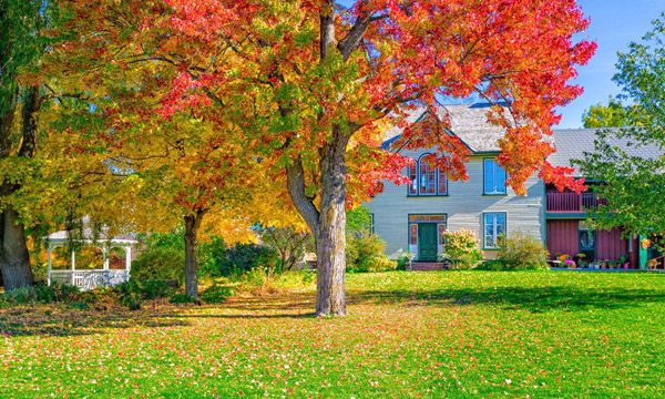 Museum Grounds