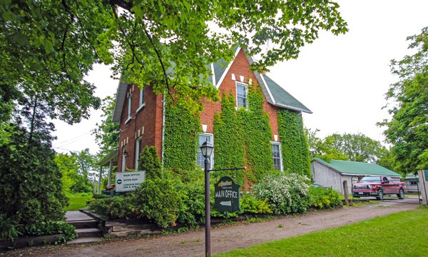  Old house with ivy growing up it. Sign: main office