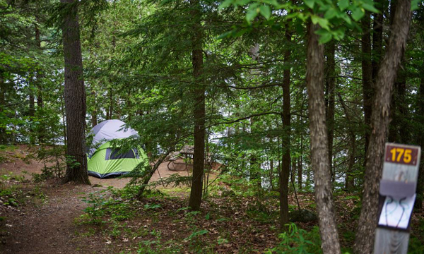 Tent in the woods