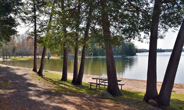 Picnic table along lake