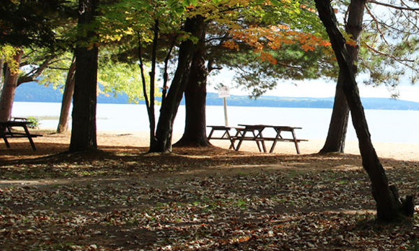 Picnic tables along the shore of Round Lake