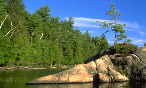 Lake with rock island